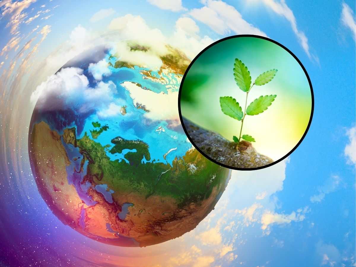 sfondo pianeta terra colorato e tondo con foglia simbolo di vita