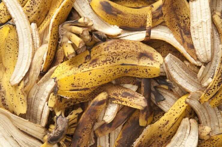 Bucce banane